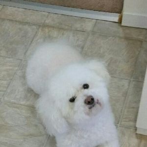 Meet your Posher, Patty